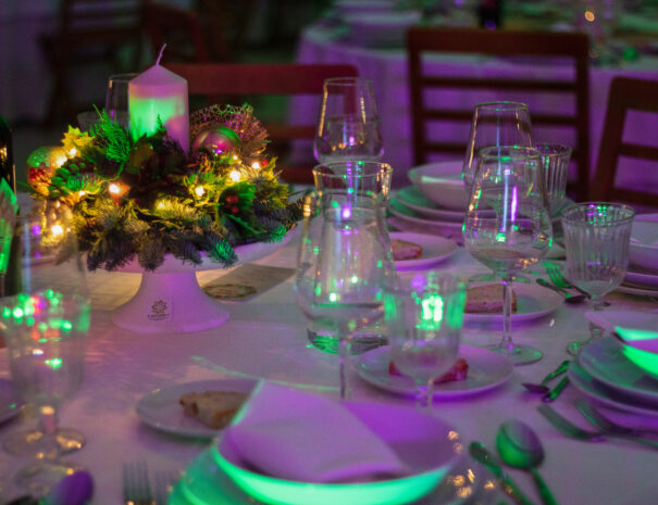 fotos_eventos_quinta_julia_dos_ovos-4