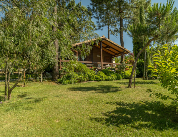 Quinta JĂºlia Dos Ovos