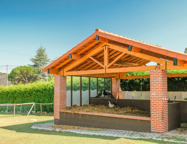 Quinta Júlia Dos Ovos